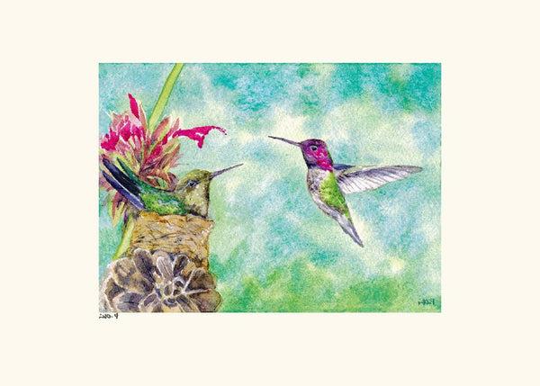 A Pair of Anna's Hummingbird Note Card